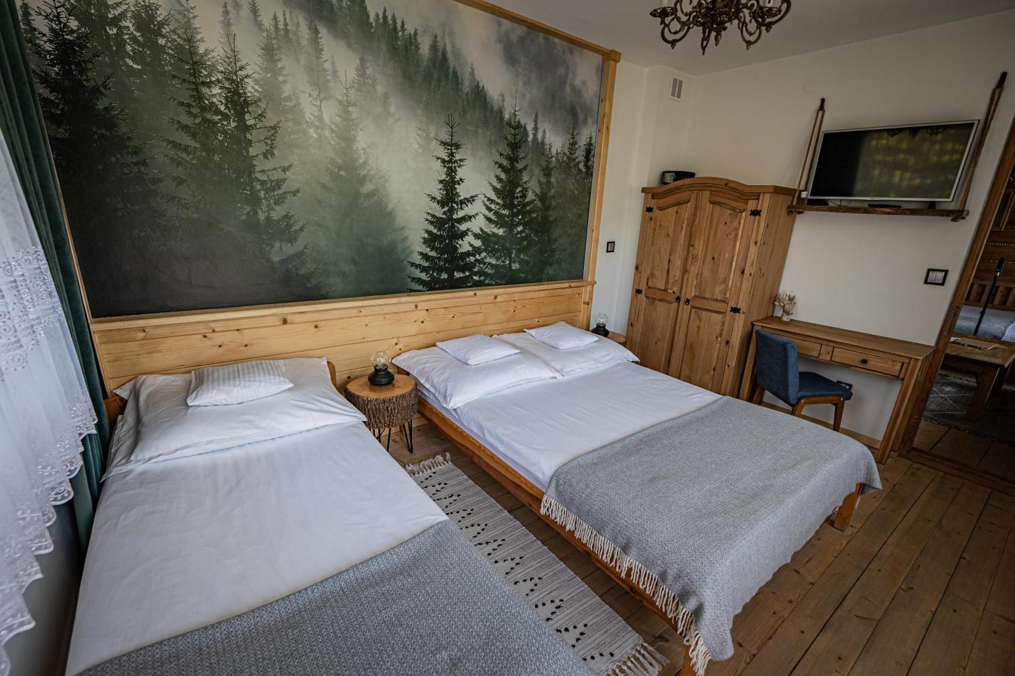 Zacisze Pod Reglami & Sauna Zakopane Extérieur photo